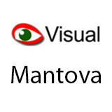 Visual Mantova